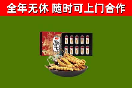 凤冈回收冬虫夏草价格