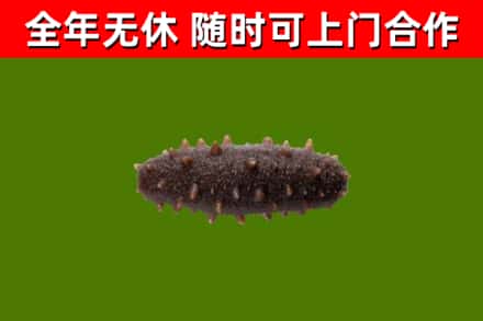 凤冈烟酒回收干海参.jpg
